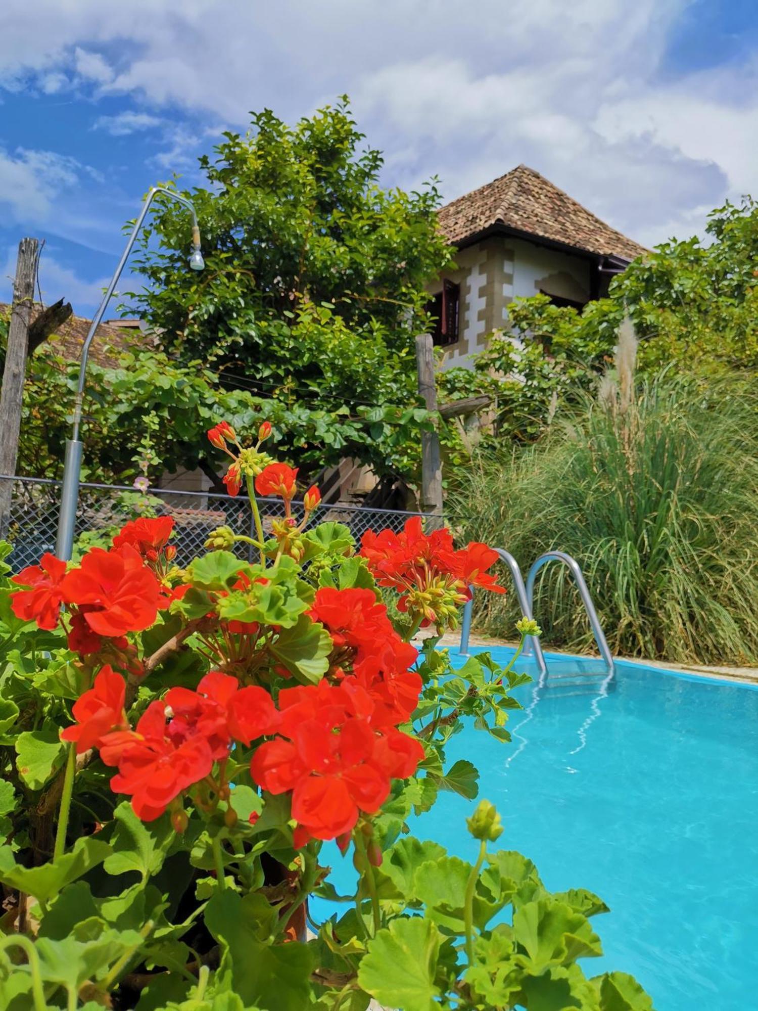 Ansitz Grustdorf Appartement Eppan an der Weinstraße Buitenkant foto